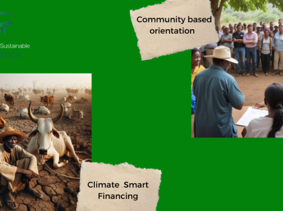 Boosting Rural Resilience with Climate-Smart Livestock Financing