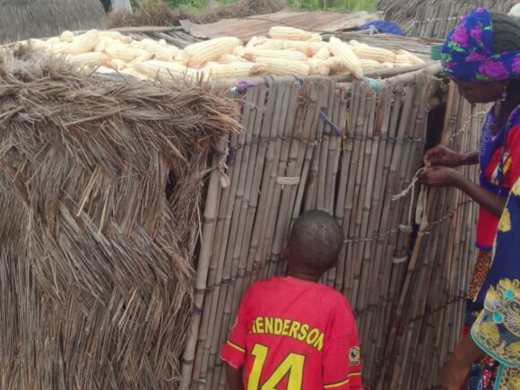 Beyond Eggs: Building Resilience, Empowering Nigerian Women Through Climate-Smart Poultry Farming.