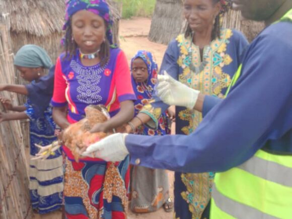 Empowering Rural Resilience: The Impact of Livestock Climate-Smart Practices in Northeastern Nigeria