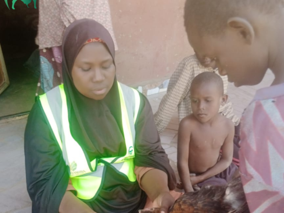 INVESTING IN RURAL WOMEN IN LIVESTOCK SYSTEMS: THE STORY OF UMM ABBA AND HER INSPIRING JOURNEY OF GROWTH AND RESILIENCE